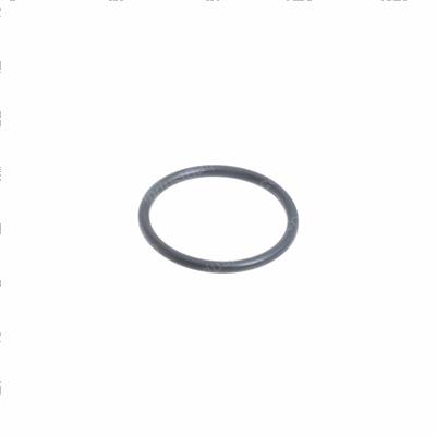 Picture of O-Ring