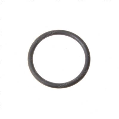 Picture of O-Ring