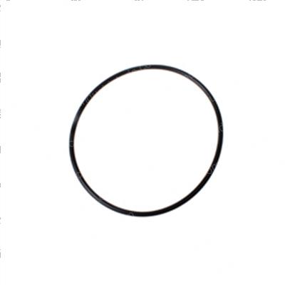Picture of O-Ring