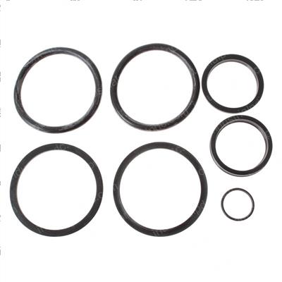 Picture of Seal Kit
