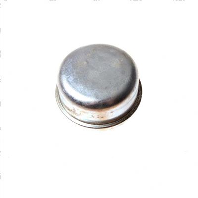 Picture of Cap - Dust