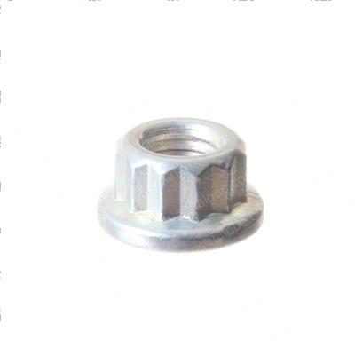 Picture of Nut