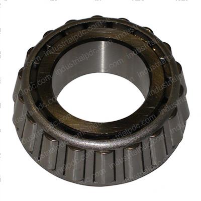 Picture of Cone-Bearing