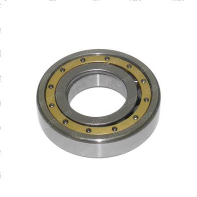 Picture of Bearing