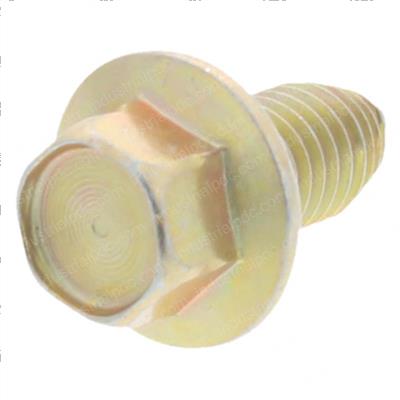 Picture of Bolt