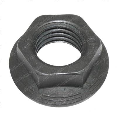 Picture of Nut