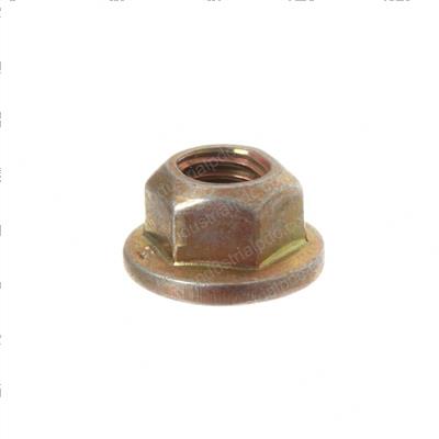 Picture of Nut