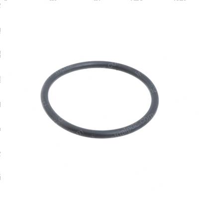 Picture of O-Ring