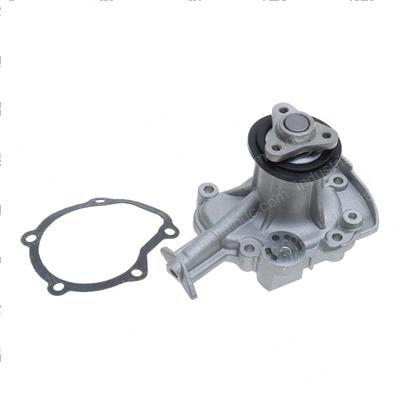 Picture of Pump, Water