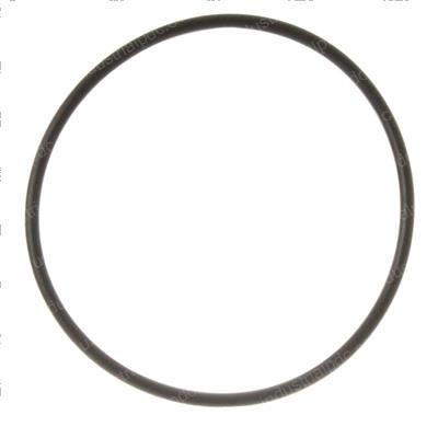 Picture of O-Ring