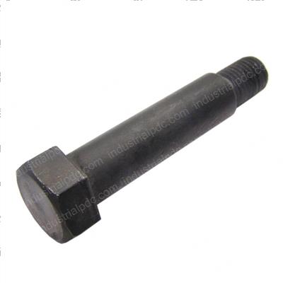 Picture of Bolt