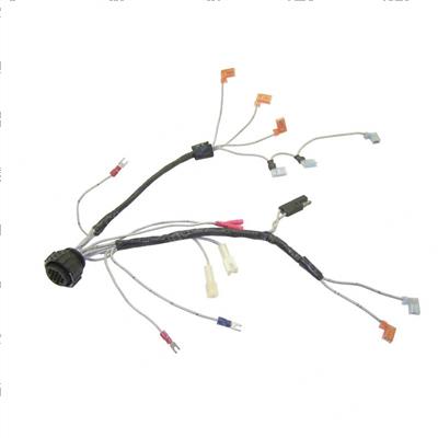Picture of Harness