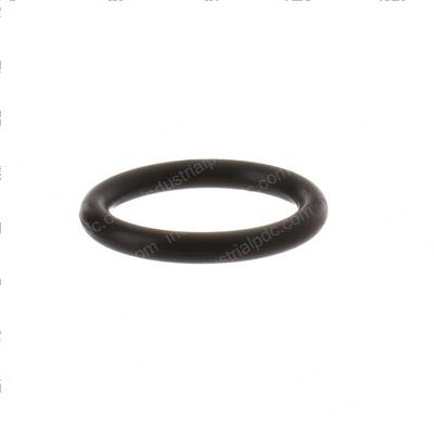 Picture of O-Ring