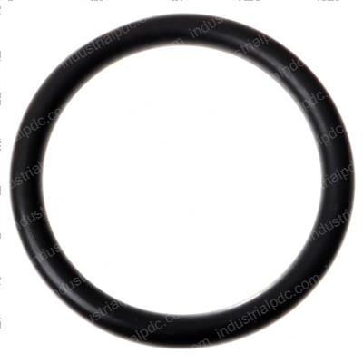 Picture of O-Ring