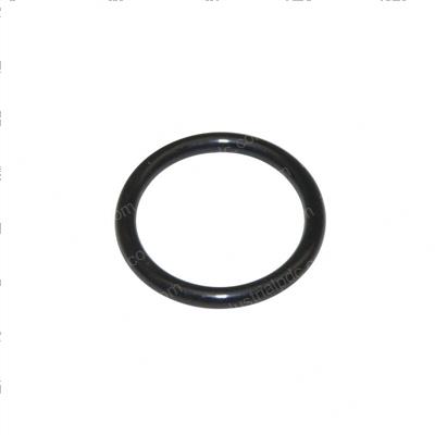 Picture of O-Ring