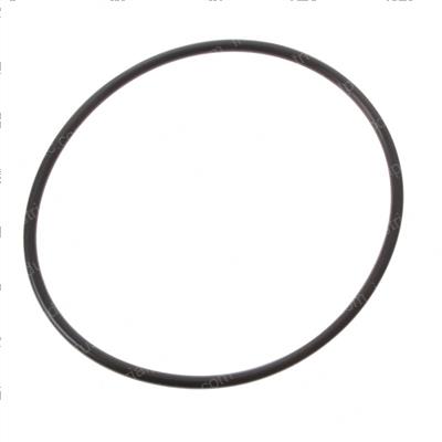 Picture of O-Ring