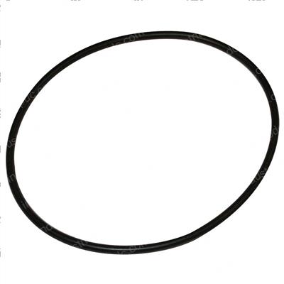 Picture of O-Ring