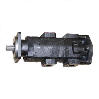Picture of Tandem Pump P350