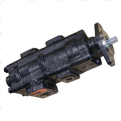 Picture of P330 Pump/Txlc-Ts998