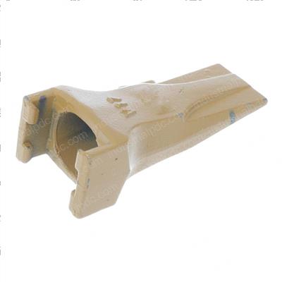 Picture of Tooth