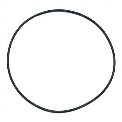 Picture of O-Ring
