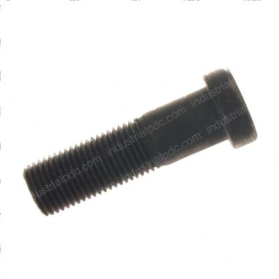 Picture of Bolt - Special