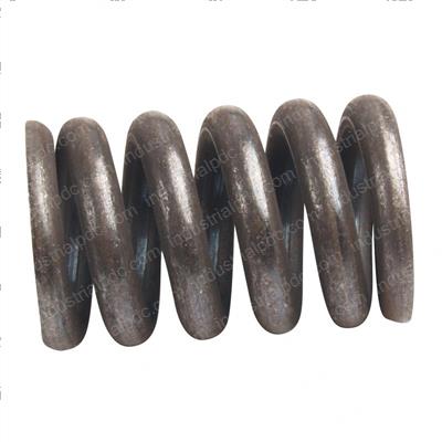 Picture of Spring - Tension