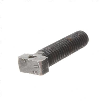Picture of Bolt