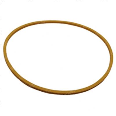 Picture of Ring - Back Up