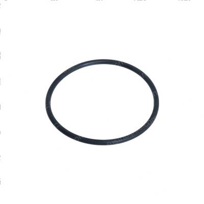 Picture of O Ring