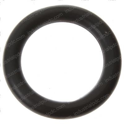 Picture of O-Ring