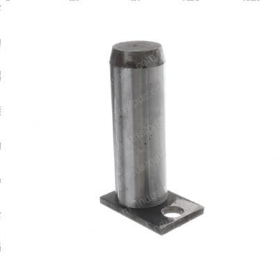Picture of Pin