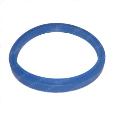 Picture of Seal