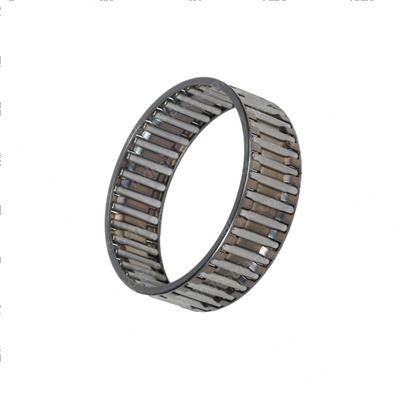 Picture of Needle Bearing Cages