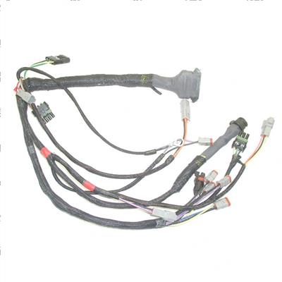 Picture of Harness