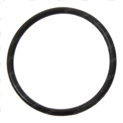 Picture of O-Ring