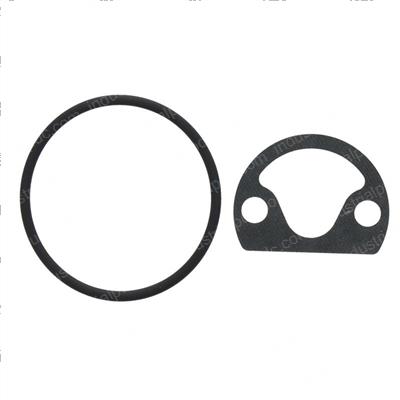 Picture of Gasket