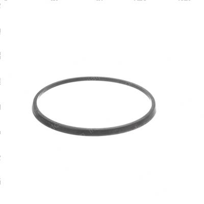 Picture of Seal