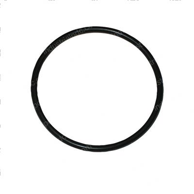 Picture of O-Ring
