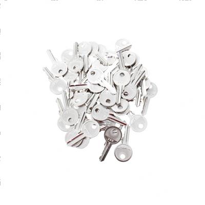 Picture of Key - Ronis 455 Bag of 50