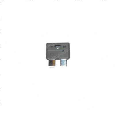 Picture of Fuse 2a