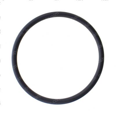 Picture of O-Ring