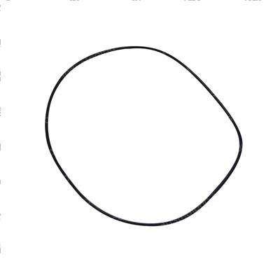 Picture of O-Ring