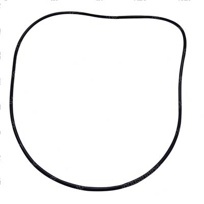 Picture of O-Ring