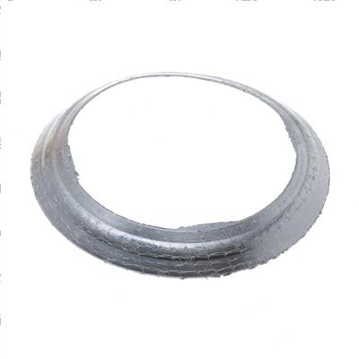 Picture of Gasket 4inch Spherical - 4 in