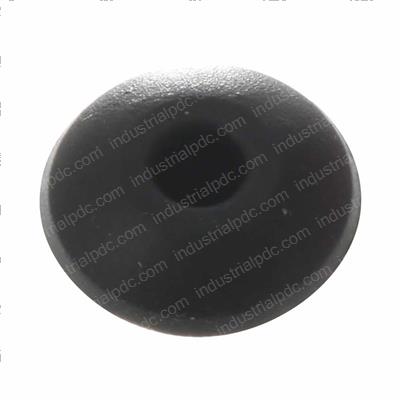 Picture of Plug