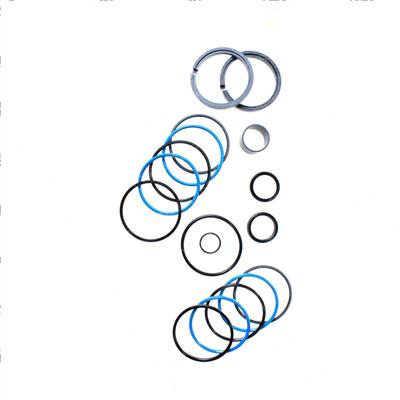 Picture of 2900 Seal Kit