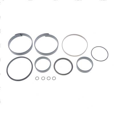 Picture of Seal Kit 25216 Lift Cyl.