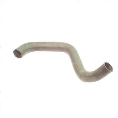 Picture of Hose - Radiator Lower