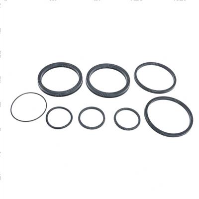 Picture of Seal Kit - Rotator